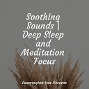 Yoga Sounds Nature Sounds for Sleep and Relaxation Binaural… - Meditation Music