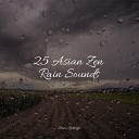 Soothing Nature Sounds Meditation Relaxation Club Nature Sounds Rain Sounds Binaural Beats Isochronic Tones… - Rainy Beach