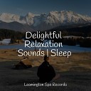 Winds and Oceans Master Medita o Deep Sleep Music Delta Binaural 432… - Echoes of Peace