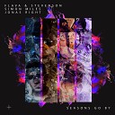 Flava & Stevenson, Simon Miles, Jonas Right - Seasons Go By