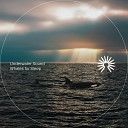 Underwater Sound - Whales for Sleep