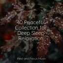 Massagem Cole o de M sicas White Noise For Baby Sleep Meditation Stress Relief… - Radiant Relaxation