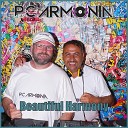 P and C Armonia - Beautiful Harmony Radio Edit