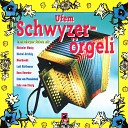 Schwyzer rgeliduo B chel Schibig - Auf Wasserberg s H hen Schottisch Live