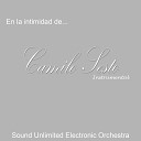 Sound Unlimited electronic Orchestra - Callados