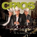 Los Crios De Sonora - Pa Cotorrearla Macizo