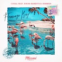 Coral Reef Bikini Bandits summer sax - Flamingo Bay