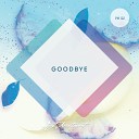 DJ Aristocrat - Goodbye Extended Mix