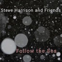 Steve Harrison and Friends - Wild Flowers