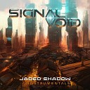 Signal Void - Eleventh Spiral