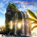 Brinson - 15 Summers