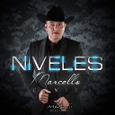 Marcello Gamiz - Niveles