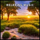 Calm Music Yoga Sleep Music - Soft Ambient Sounds to Calm a Crying Baby