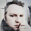 Vladimir Sterzer - I Will Never Forget You