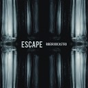 Ribeiro DiCastro - Escape