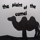 Slow Down - The Plaint of the Camel