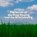 NATURE OF LIVE - The Sound of the River Flowing and the Wind Blowing in the Middle of Green Grasslands Relaxing and…