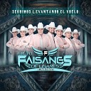 Grupo Faisanes de Linares Loreto Zacatecas - Mi Coraz n Est Llorando En Vivo