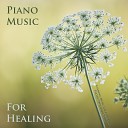Calming Music for Funerals - A Walk in the Forest