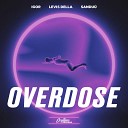 igor Levis Della Sandu - Overdose