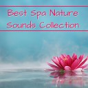 Scents of Spa - Butterfly