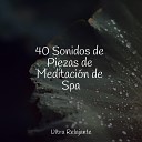 Meditacion Budista Maestros M sica Relaxante Medita o… - Paseos A La Luz De La Luna
