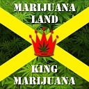 King Marijuana feat Cheeba Kong - I Like to Smoke Dope Dialogue feat Cheeba…