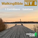 WalkingBible Will Weeks - 1 Corinthians 11 23 26