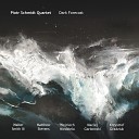 Piotr Schmidt Quartet - Sharks Fat Cats Other Whales