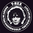 T Rex - Soul Of My Suit Broadcast Version