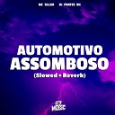 MC SILLVA DJ PRATES 011 - Automotivo Assombroso Slowed Reverb