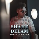 Omid Oghabi - Shahe Delam