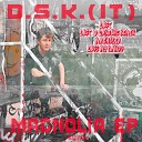 D S K IT - Lost D Carbone Remix