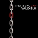 VALID BLU - The Handbook for a Successful Life