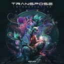 Transpose CA - Introspective Original Mix