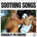 Tranquility Spa Universe - Crystal Cascade