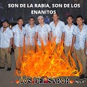 Los Del Sabor SyC - Son de la Rabia Son de los Enanitos