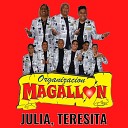 Organizacion Magallon - Julia Teresita