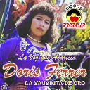 Doris Ferrer - Tu Ausencia