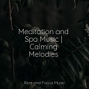 Spa Relaxation, Rising Higher Meditation, Spa Zen - Harmony Heard