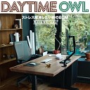 Daytime Owl - Up to the Challenge