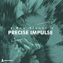Raw Siqnal - Precise Impulse