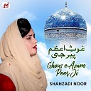 Shahzadi Noor - Ghous E Azam Peer Ji