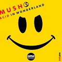 Mush - Acid in Wonderland