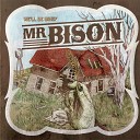 Mr Bison - Today