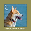 Relaxing Dog Music - Wholesome Amber