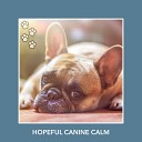 Relaxing Dog Music - Adorable Evenings