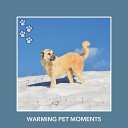 Dog Chill Out Music - Classic Learning