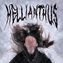 HELLIANTHUS - Наркоз prod by ken0maa