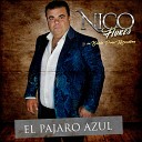 Nico Flores y Su Banda Puro Mazatl n - El P jaro Azul